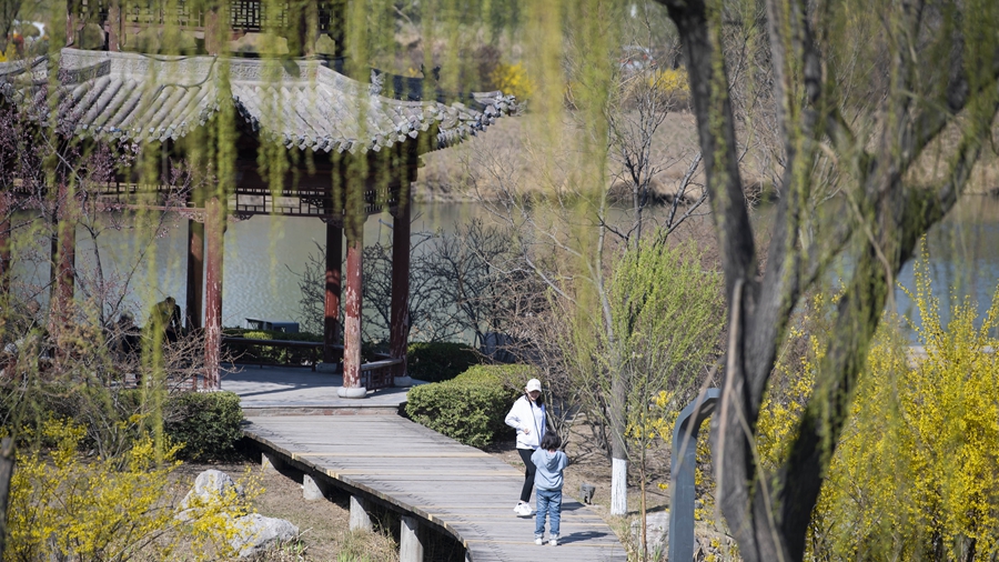 Весенняя пора в парке водно-болотных угодий на севере Китая