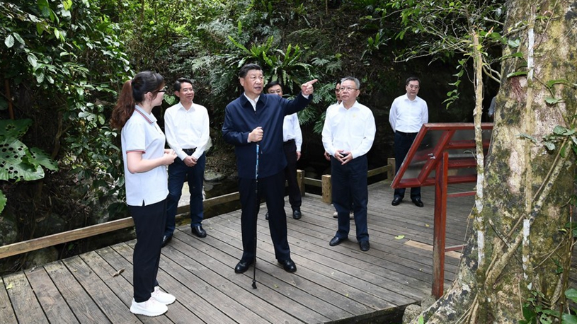 Си Цзиньпин подчеркнул важность активизации строительства Хайнаньского национального парка влажных тропических лесов